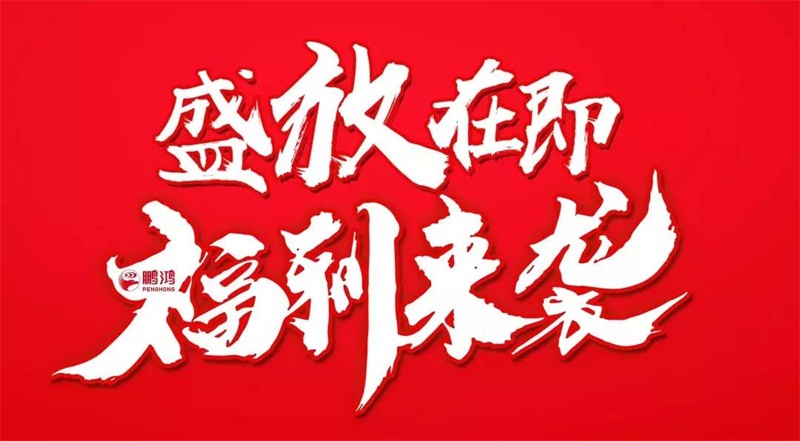 再拓疆域！鵬鴻We+定制&紅星美凱龍聯(lián)袂亮相烏魯木齊