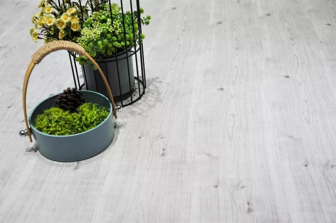 鵬鴻強(qiáng)化地板伊麗莎白系列-5806 鵬鴻強(qiáng)化地板伊麗莎白系列-5806