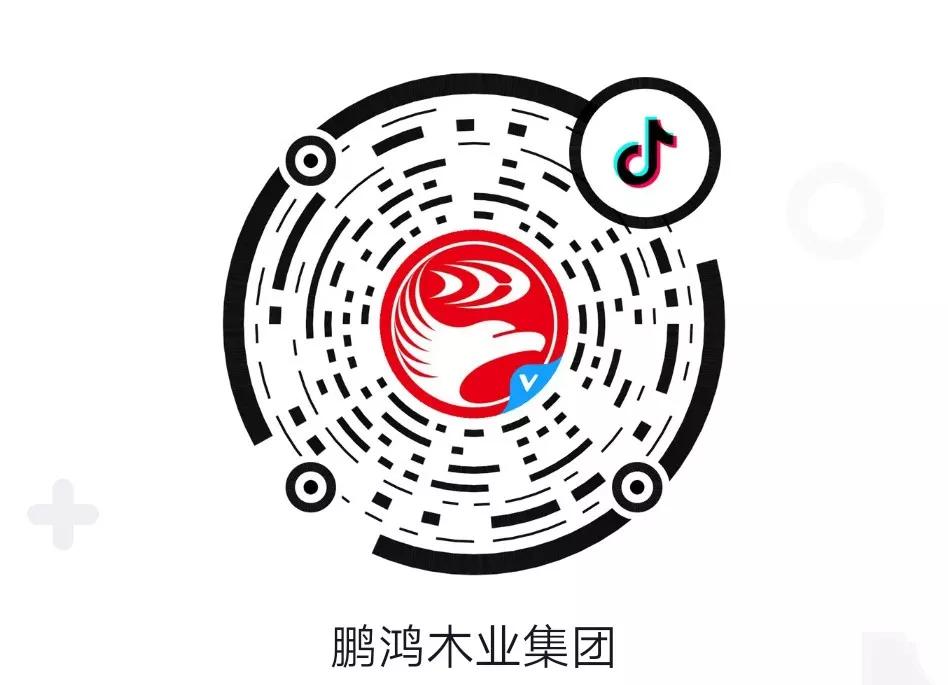 這廂有禮丨這個(gè)春節(jié)我最鴻，抖音相伴幸福年