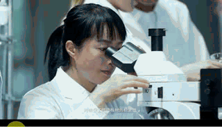 細木工板的研發(fā)