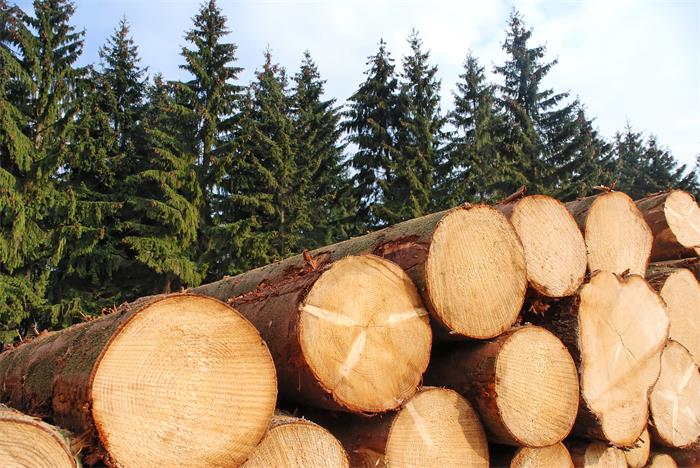 顆粒板環(huán)保嗎